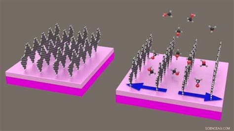 Las Nuevas Nanocintas De Grafeno Brindan A Los Sensores Una