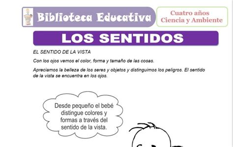 Los Sentidos Para Nivel Inicial De Cuatro A Os Biblioteca Educativa