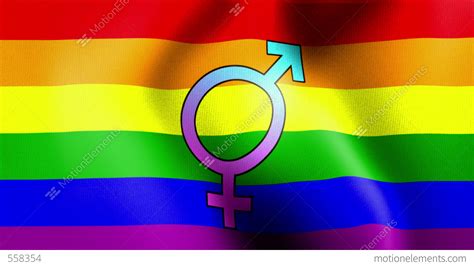 Waving Rainbow Flag Bisexual Stock Animation 558354