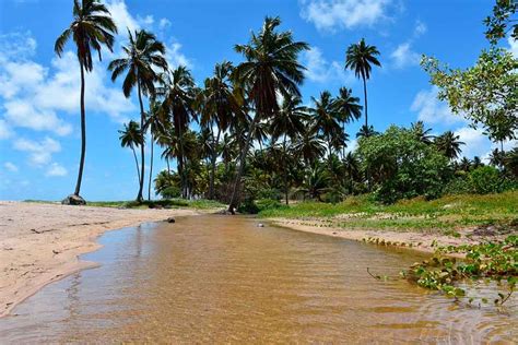 Pontos turísticos de Alagoas atrações passeios e roteiros alternativos