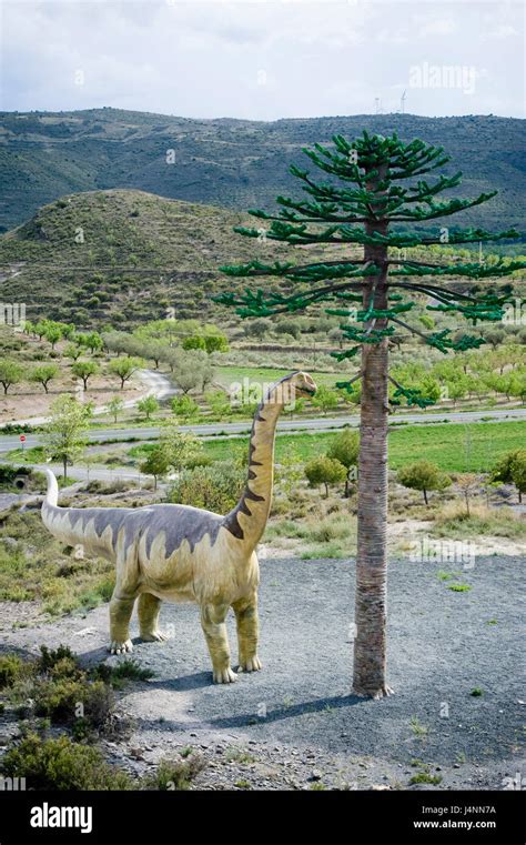 Replica Of Sauropod Camarasaurus Eating Leafs Of Araucaria Conifer Tree