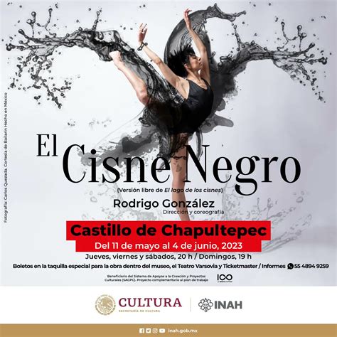 La Imperdible Puesta En Escena Del Cisne Negro En El Castillo De