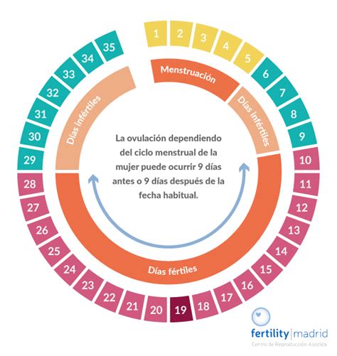 Uva entidad mareado calcular mi ciclo menstrual si soy irregular Cruel bordado Marinero