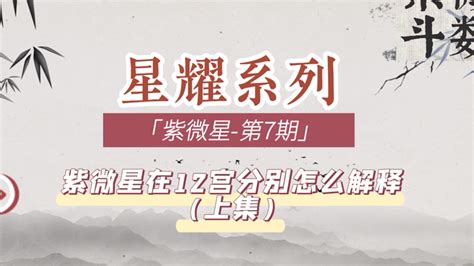 紫微星在12宫怎么解释（上集） 知乎