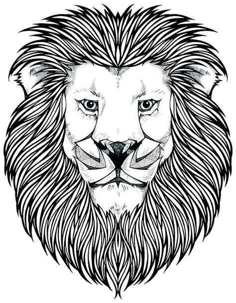 Cool Lion Coloring Pages PDF Ideas - Coloringfolder.com