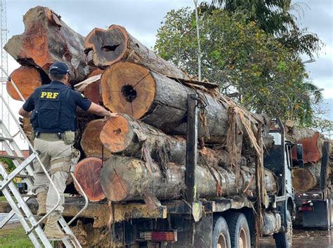 Cinco Pessoas São Presas Suspeitas De Extração E Comércio Ilegal De