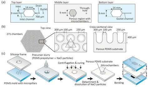 A B Design Of The Microfluidic Device Composed Of Three Layers A