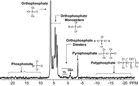 Phosphorus Nuclear Magnetic Resonance Spectroscopy Spectrum Showing