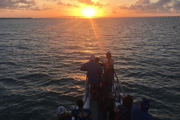 South Padre Island Dolphin Watching Boat Tour 2024