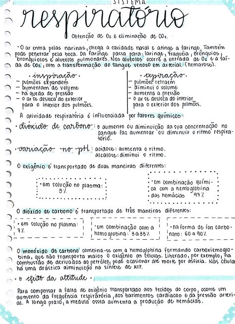 Resumo sobre Sistema respiratório Biologia Estuda ENEM