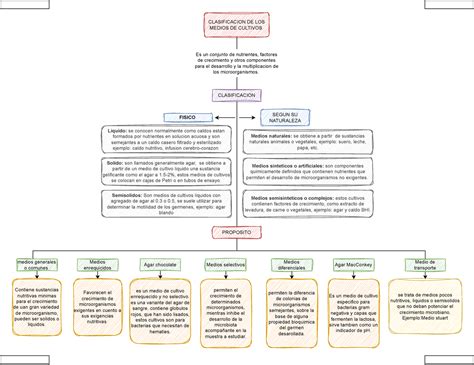 Mapa Cultivos Mapa Conceptual Clasificacion De Los Medios De