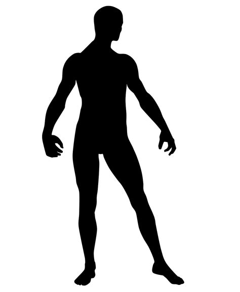 Free Fondos Trabajos Cuerpo Humano Body Images Pixabay