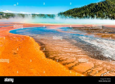 Colored Mineral Deposits At The Edge Of The Steaming Hot Spring Detail View Grand Prismatic