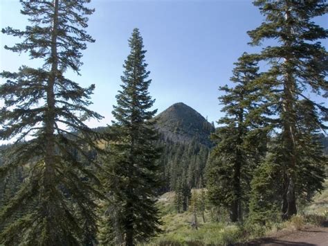 Barker Passblackwood Canyon Road Mountain Bike Trail Sunnyside Tahoe
