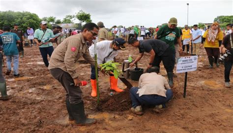 Wapres Ma Ruf Amin Ajak Masyarakat Tanam Pohon Untuk Kurangi Emisi