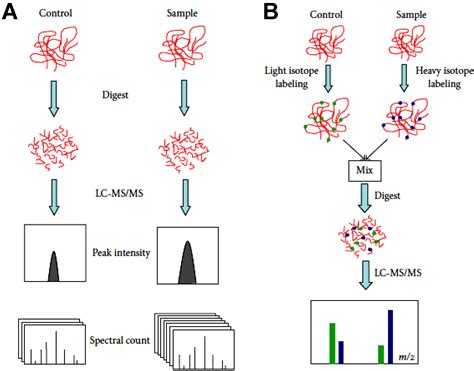 Proteomes Free Full Text Comparative And Quantitative Global