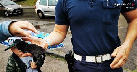 Koci Ta W Komorze Silnika Na Pomoc Ruszyli Policjanci Entrio Pl