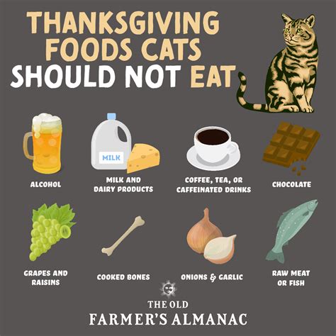 Best And Worst Thanksgiving Foods For Cats