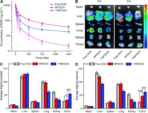 Pharmacokinetics And Biodistribution Of DOX Formulations In Vivo A