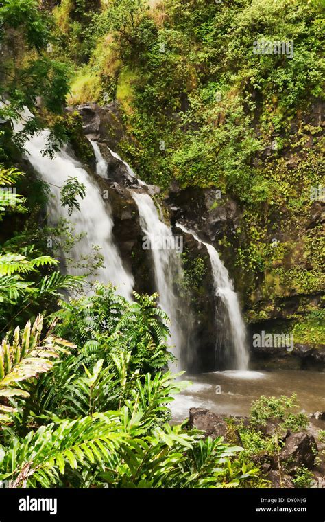 Hawaii Ecology Hi Res Stock Photography And Images Alamy