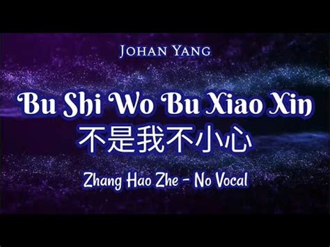 Bu Shi Wo Bu Xiao Xin No Vocal Youtube