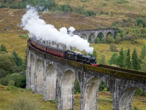 Hogwarts Train