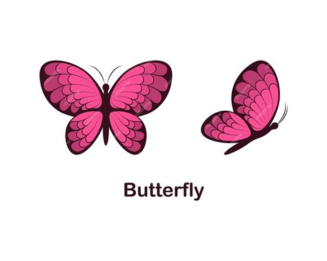 Papillon Papillon Image Vue De Dessus Et Vue De Côté Dessin Animé