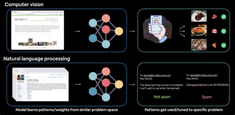 06 PyTorch Transfer Learning Zero To Mastery Learn PyTorch For Deep