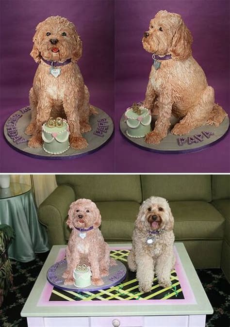 Dog shaped cakes - 12 Pics | Curious, Funny Photos / Pictures