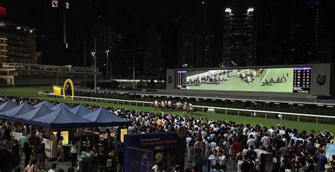 快活谷煞科夜賽圖輯 賽馬新聞 香港賽馬會