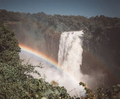 Lion and Wildlife Sanctuary Victoria Falls, Zimbabwe