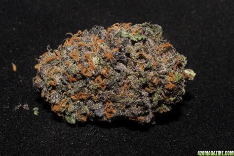 What is you all-time favorite strain? | 420 Magazine