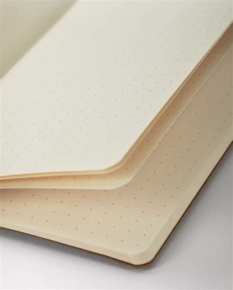 zápisník Hmyz – typographicus.cz