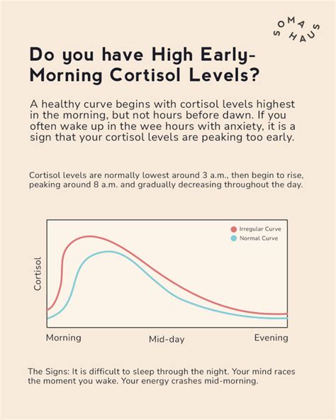 What Is Cortisol And How Does It Affect You Soma Haus