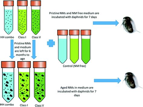 Mechanistic Insights Into Toxicity Pathways Induced By Nanomaterials In