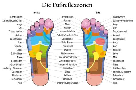 Fußreflexzonen Massage Wirksam Oder Hokuspokus