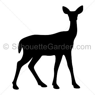 Doe Silhouette