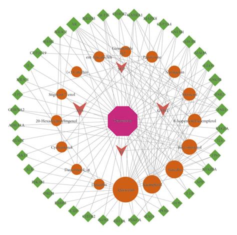 The Drug Component Target Disease Network Diagram Of Xpjyd For The