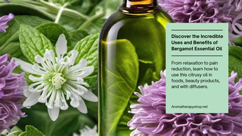 Discover The Incredible Uses And Benefits Of Bergamot Essential Oil