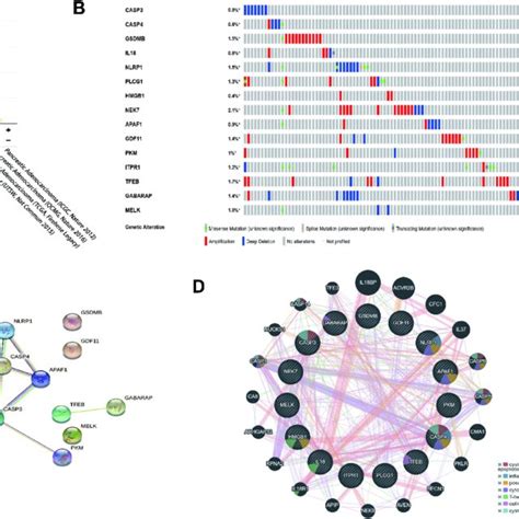 The Expression Profile Of Some Selected Pyroptosis Related Genes In