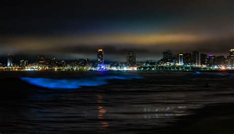 Se iluminó el mar con un color fosforescente en Mar del Plata y el