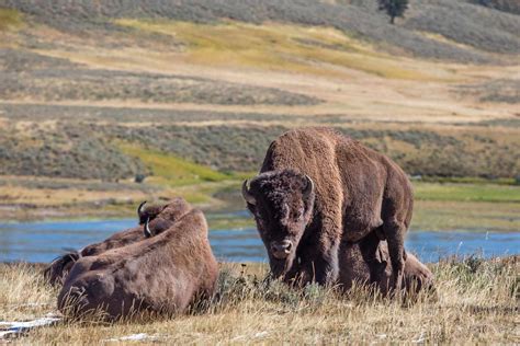 The Best National Parks In The U S