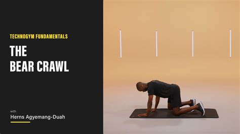 Technogym Fundamentals The Bear Crawl YouTube