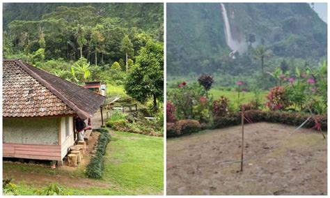 Kondisi Rumah Abah Jajang Setelah Viral Rumput Hijaunya Jadi Rusak