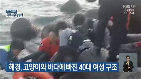 해경 고양이와 바다에 빠진 40대 여성 구조