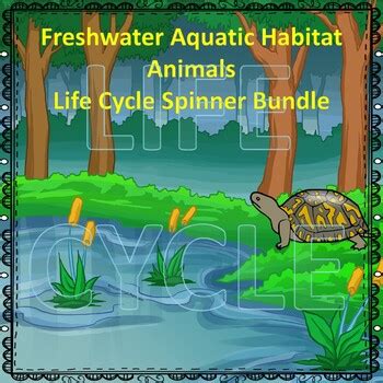 Animals Freshwater Aquatic Habitat Bundle by Donna Thompson | TpT