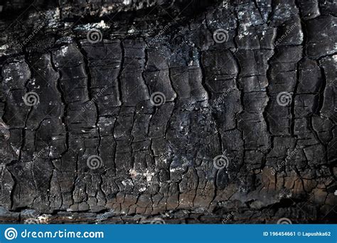 The Texture Of Burnt Wood Charcoal Abstract Background Of Burnt Wood