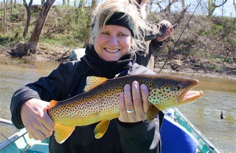 White River Fly Fishing Trip with Cotter Trout Dock - Flippin, Arkansas