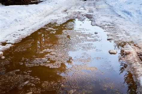 A Frozen Puddle With Ice And The Ground In Autumn Or Winter Stock Photo