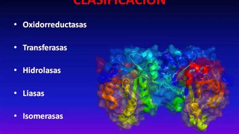 Las Enzimas Y Su Clasificaci N Youtube